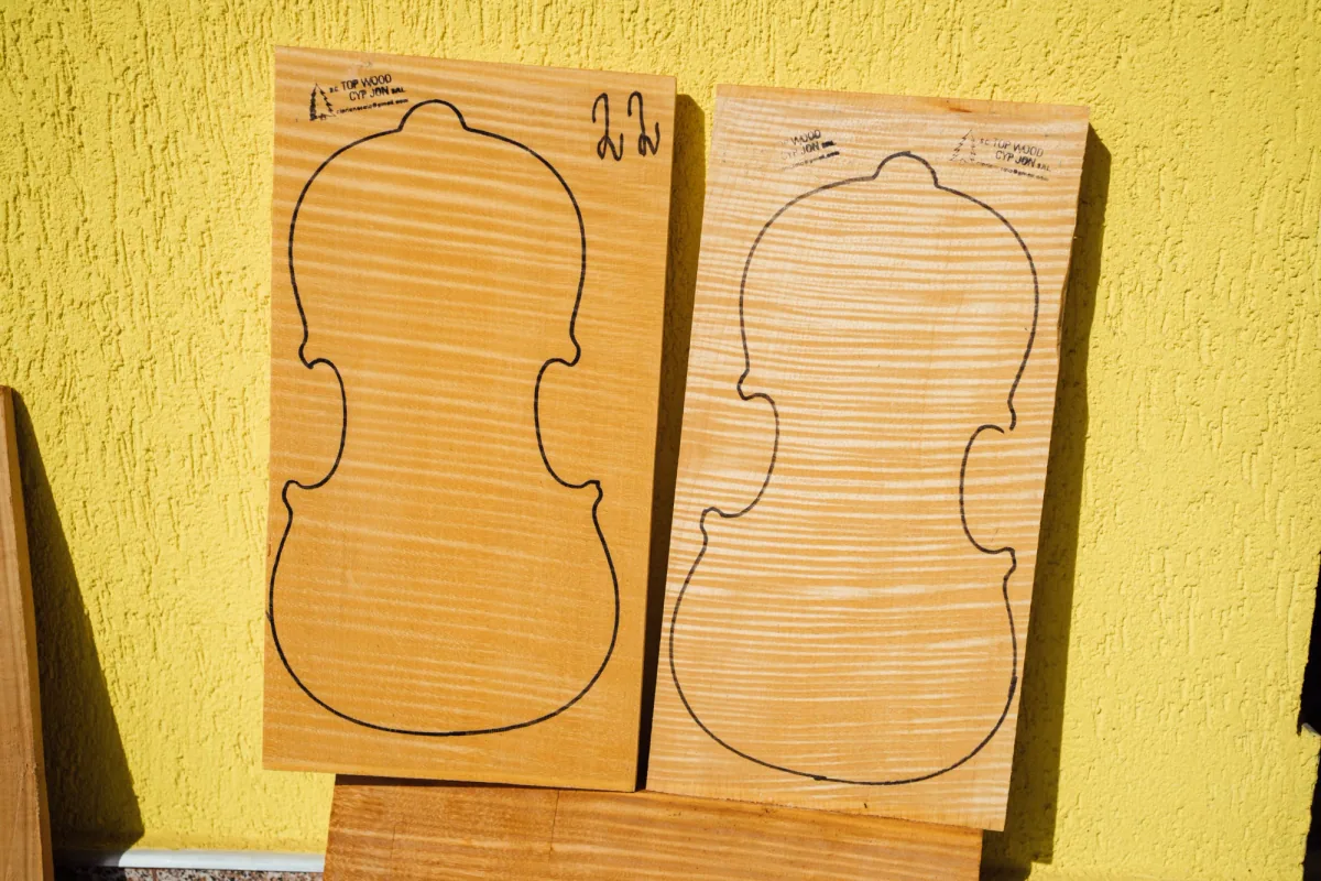 One-piece violin back