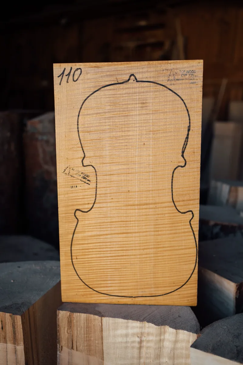 One-piece violin back
