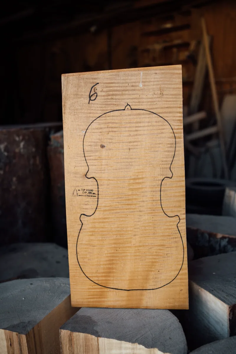 One-piece violin back