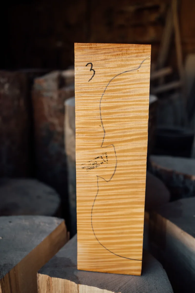 Violin back half