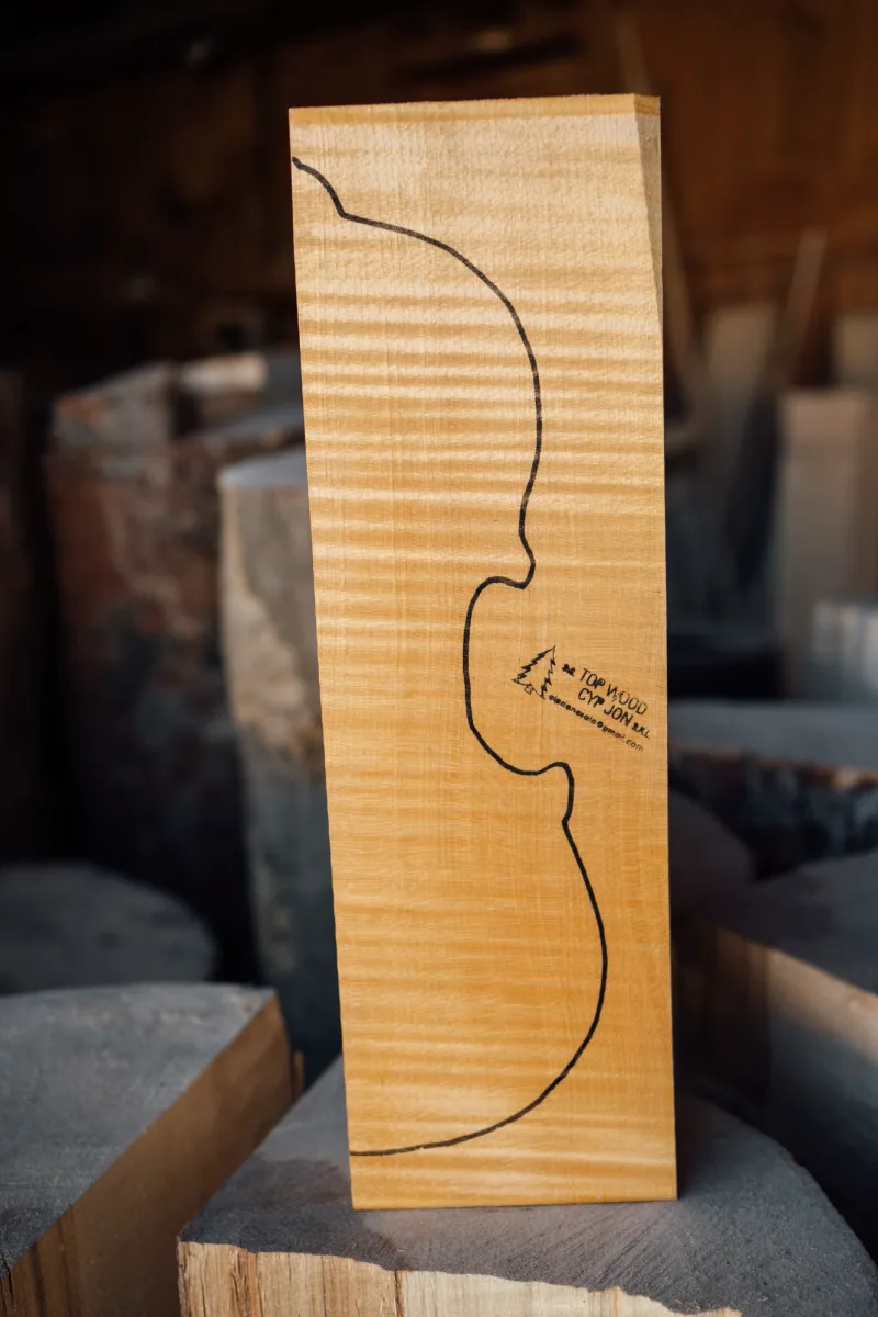 Violin back half