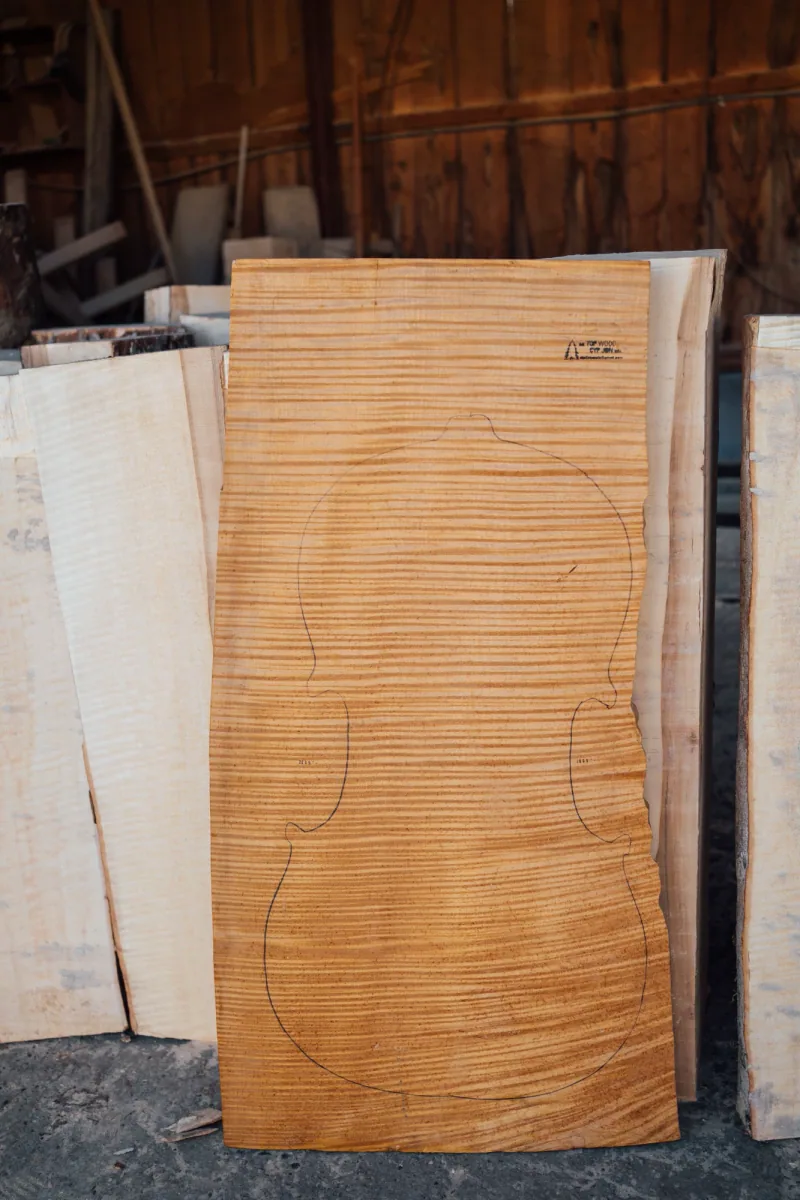 One-piece violin back