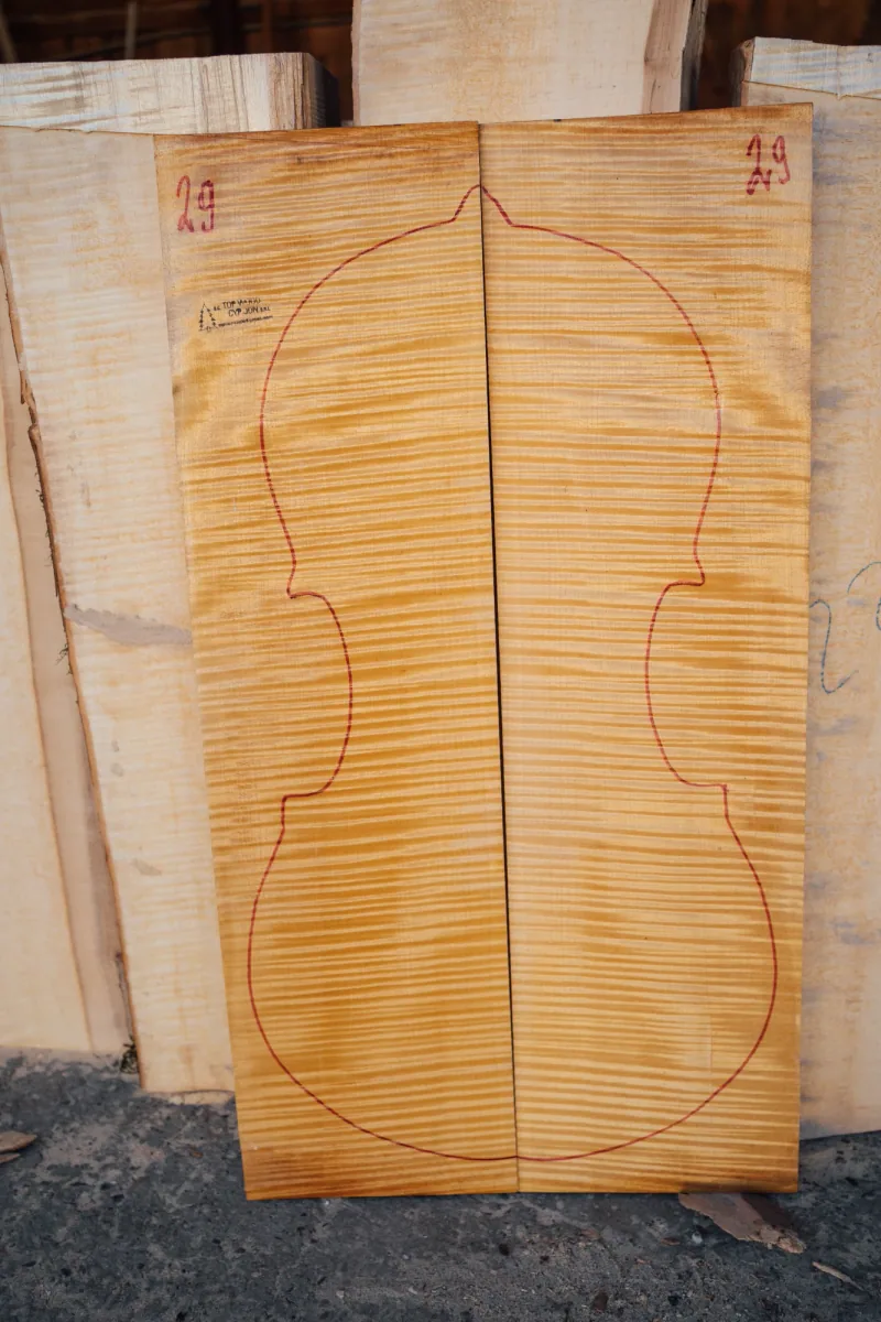 2-piece cello back
