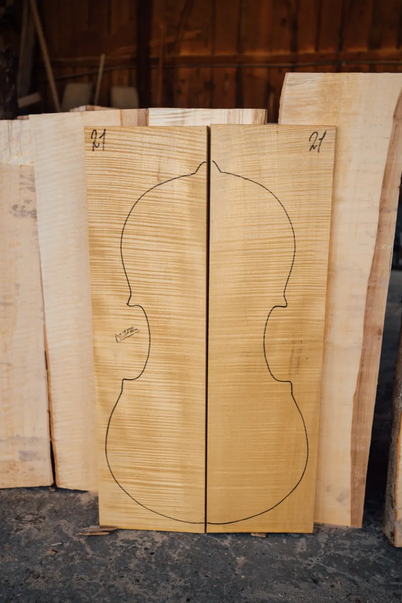 2-piece cello back