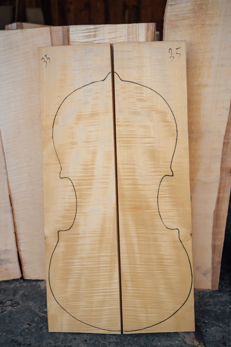 2-piece cello back