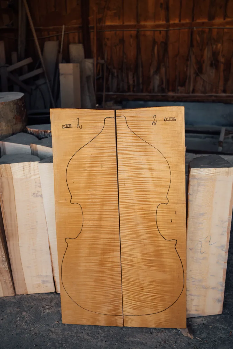 2-piece double bass back