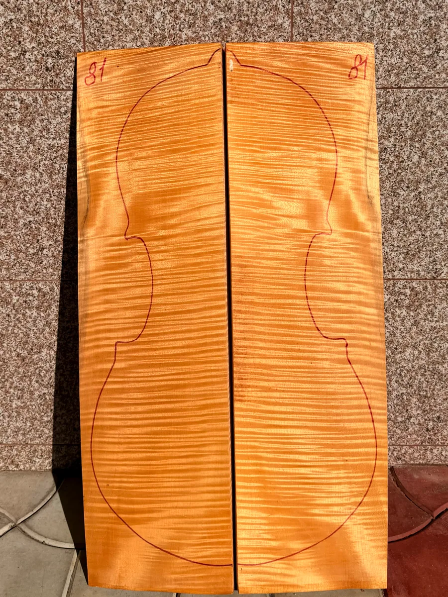 2-piece cello back
