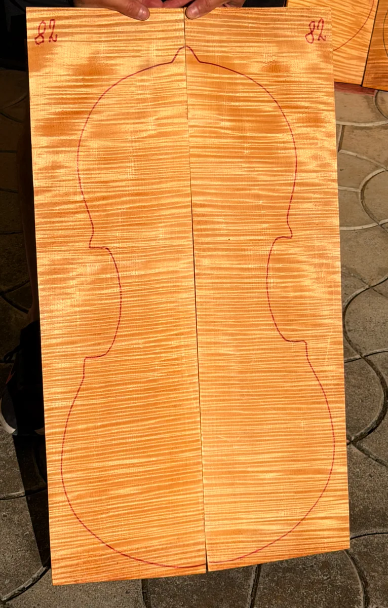 2-piece cello back